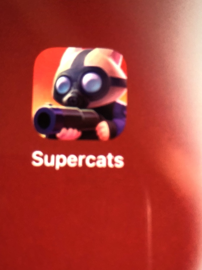 Super cats LIVE