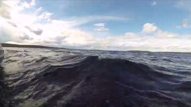 SVID_20241201_123454_1.mp4