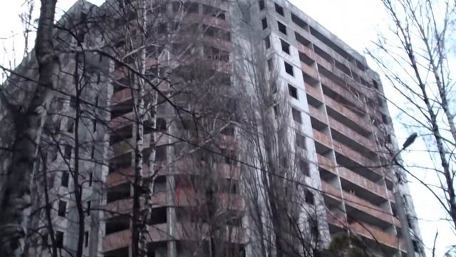 Квартиры ЖК Сосновый бор
