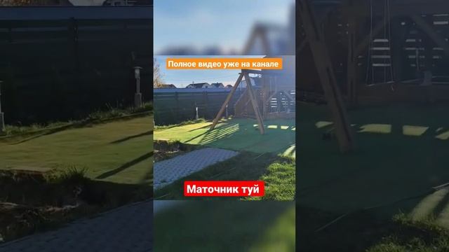 Организация маточника растений на маленькой площади