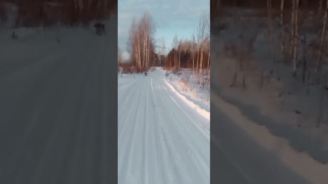 24.12.241448 Прогулка на природе