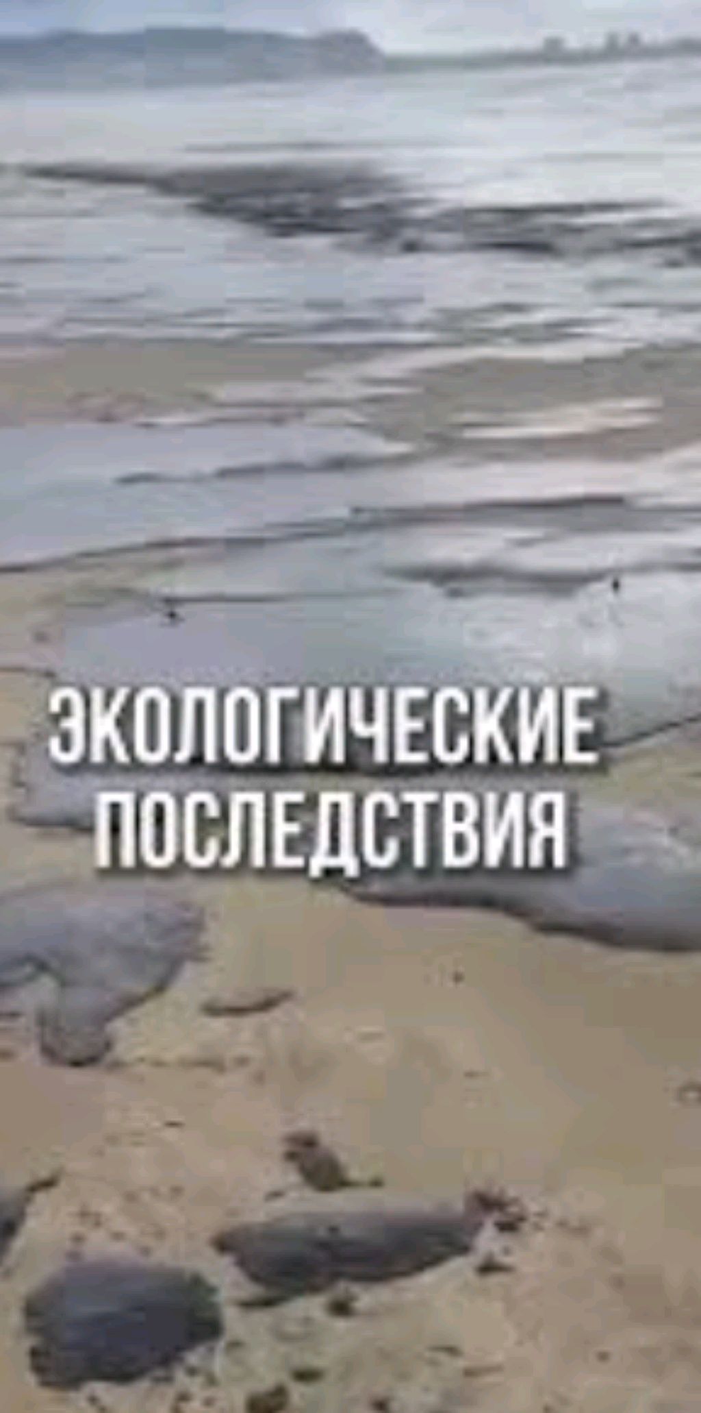 предлагаю свою помощь ЭКОЛОГИЧЕСКАЯ ПРОБЛЕМА