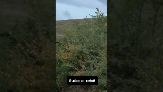Выбор за тобой #мотивация