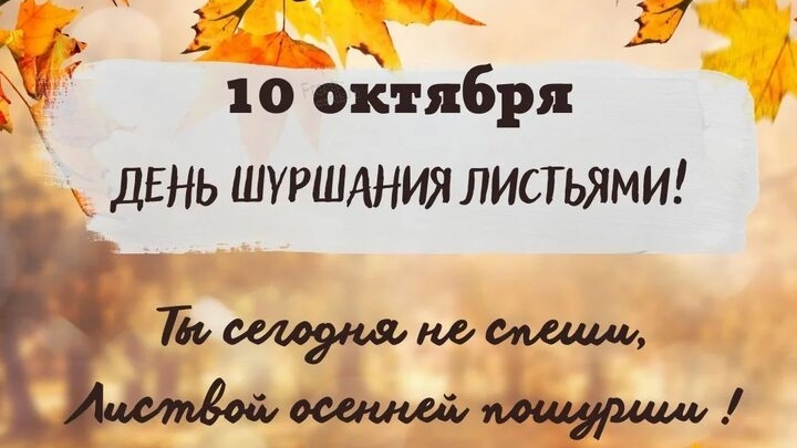 10.10.24 - День шуршания листьями