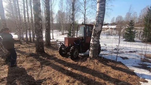 Шатаем лес на Володьке!