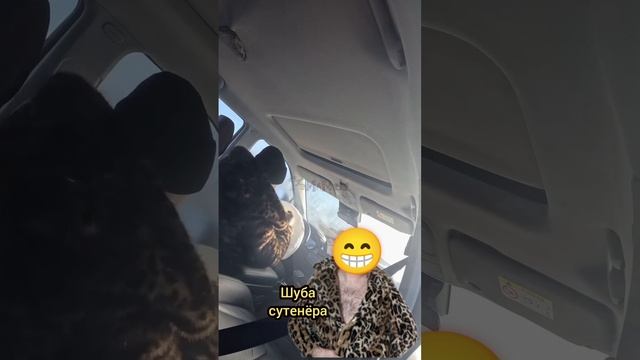 сутенёр московский 😂