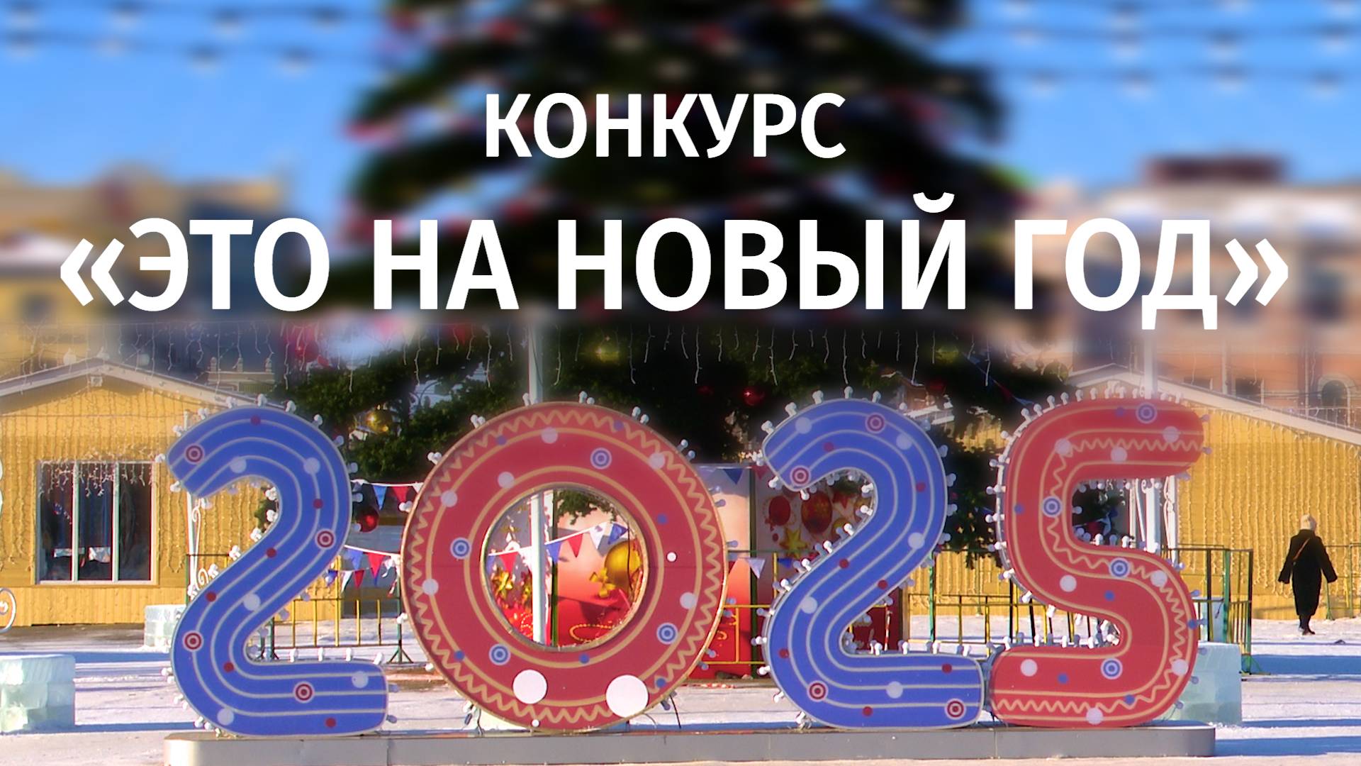 Читинцы наряжают котов и машины в битве за призы