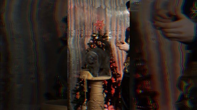 #КиракосянВладислав