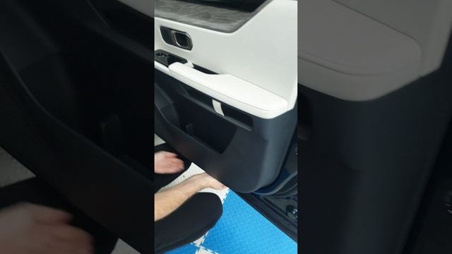 Разбор двери Jetour Dashing
