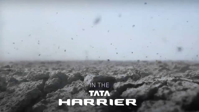 New Tata Harrier in tropical mist colour 2022 #tata #subscribe