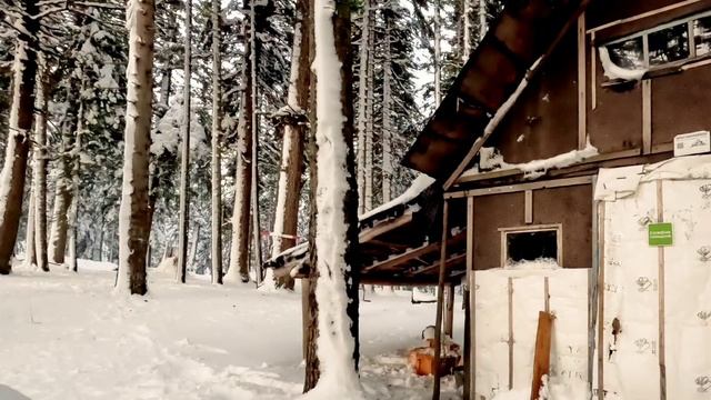 Адыгея,ночь в зимнем лесу