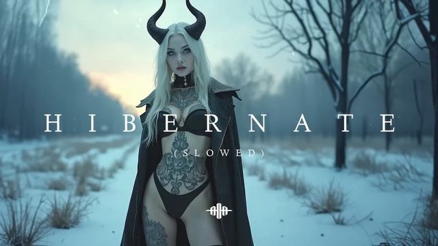 Dark Techno / EBM / Industrial Bass Mix 'HIBERNATE (Slowed)' [Copyright Free]