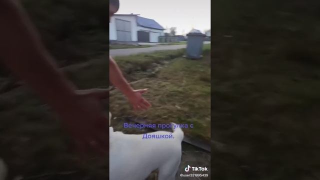 из дп