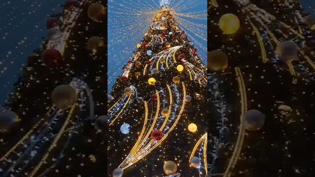 Новогоднее настроение в Геленджике #новыйгод2025