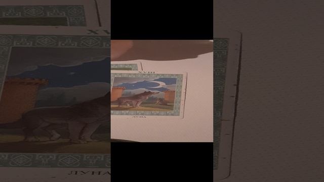 20241227_182213.mp4  В ожидании новых чувств