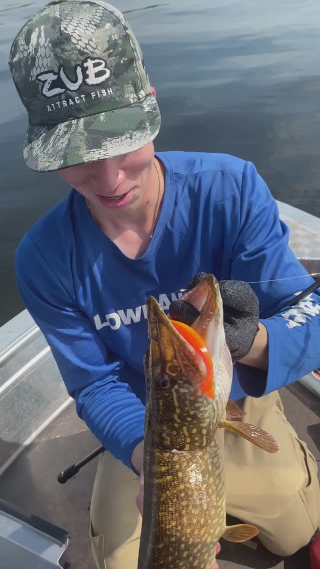 Самая красивая хищника у меня в руках😎😅
#рыбалка #fishing #щука #волга