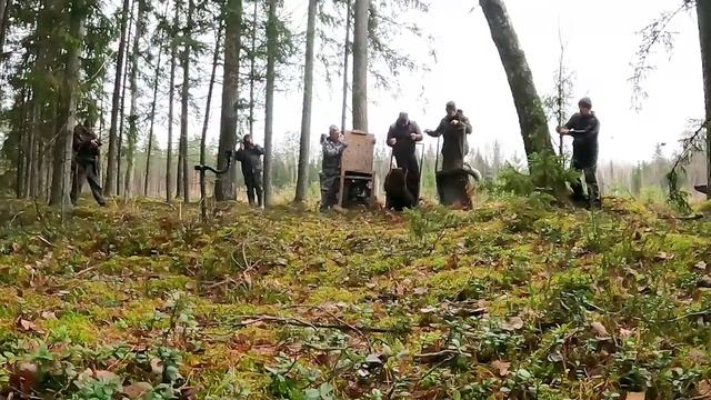 В Угранском районе выпустили в дикую природу медвежат-тройняшек