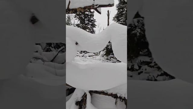 поход на Таловские чаши, Томск, часть 1