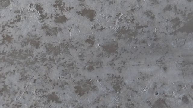 плавает без воды