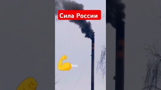 Сила России 💪