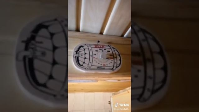 серый-котик-пришел-в-баню-мыться-и-лидет-лапки