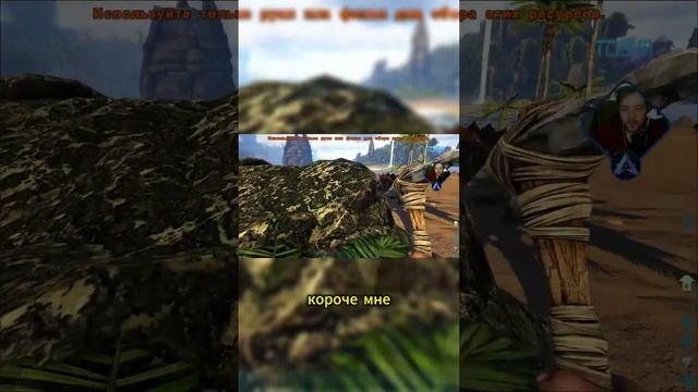 Первый раз увидел додошку в ARK