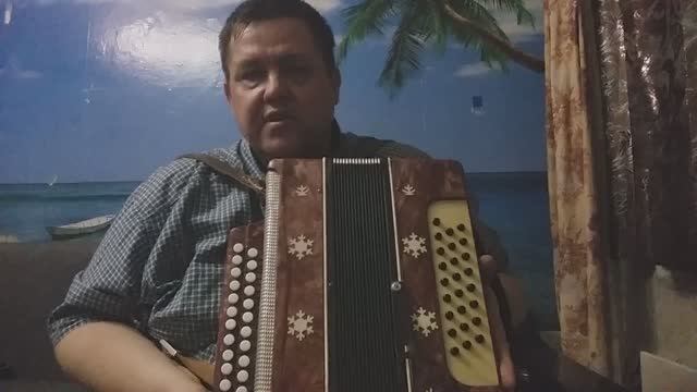 гармонь восток кировская без вложений! Есть ремонт, настройка гармоней, баянов, аккордеонов.