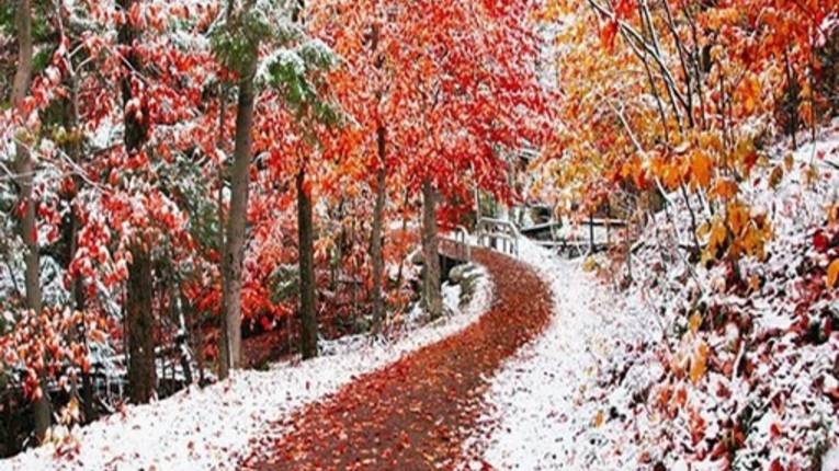 ***💖Ты вспомни меня🌹💕