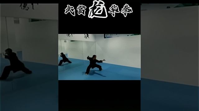 Ушу стиля «Удан Лун Хуа Цюань» («Уданский кулак молодого дракона») | Wudang Long Hua Quan | 武當龍華拳