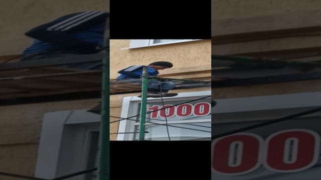 1000067689.mp4
