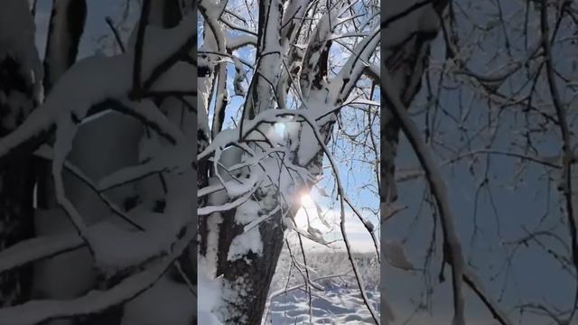 Снежинки, снег, зима… ❄️

 #Снежинки  #снег  #зима