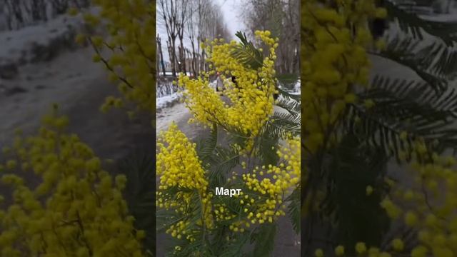Просто выбрала из ленты 12 видео каждого месяца