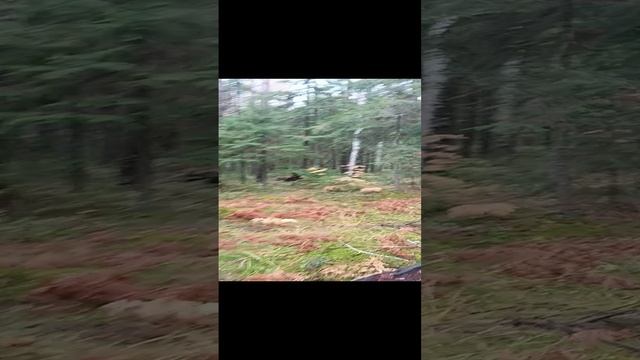 VID_20241013_122655