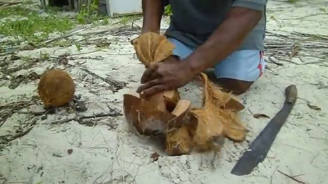 Как очистить кокос  How to open a coconut