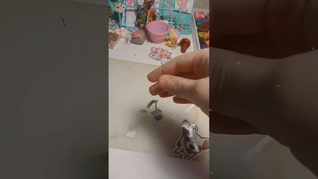 водоросли для котика 😸🐱