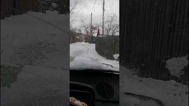 petal_20241227_104352.mp4