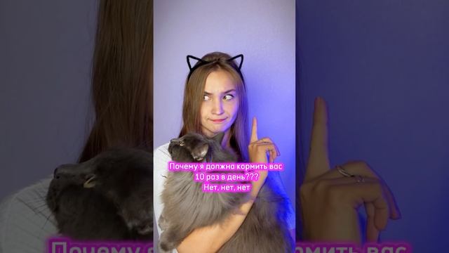 ДОЛЖНА ИЛИ СУДЬБА? #cats #мейнкун #top #смешныекоты