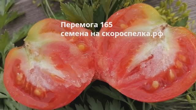 "Перемога 165" семена Советского томата. Сорт выведен ещё в 1951 году. Попробуйте прошлое на вкус!