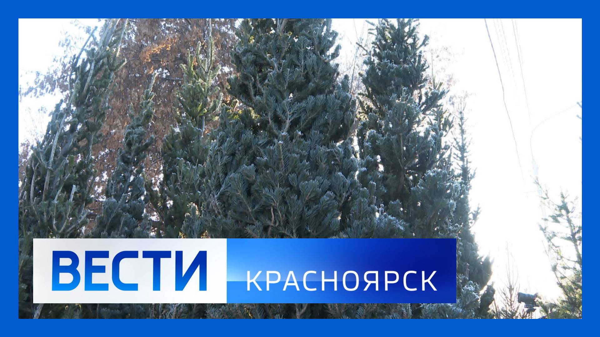 Вести. Красноярск от 20.12.2024