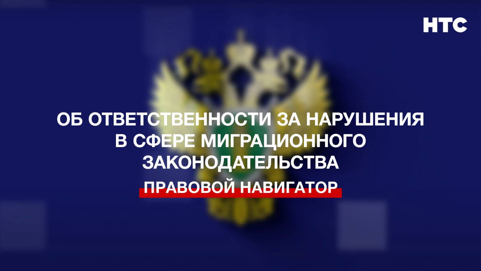 Об ответственности за нарушения в сфере миграционного законодательства