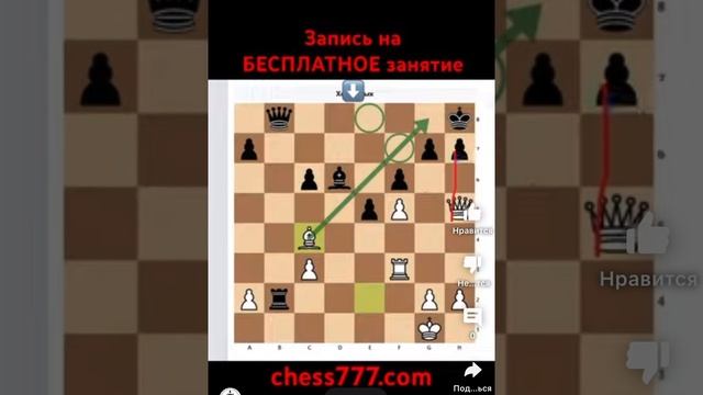 Шахматная задача. Отрывок с занятия.