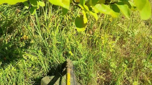 поехали на дачу часть 1