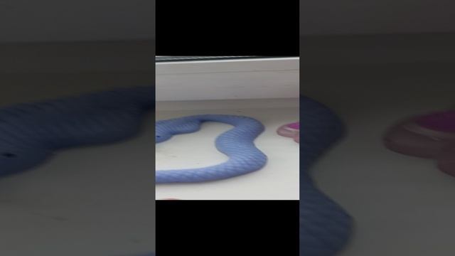 1000000694.mp4