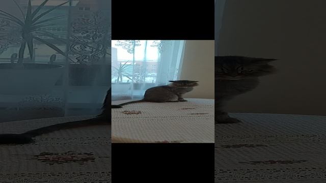 VID_20241223_104326