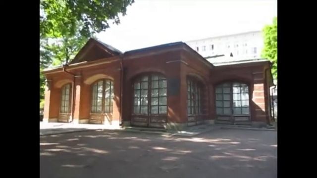 Домик петра1