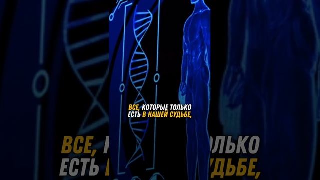 От наших привычек зависят абсолютно все ситуации, которые есть в нашей судьбе