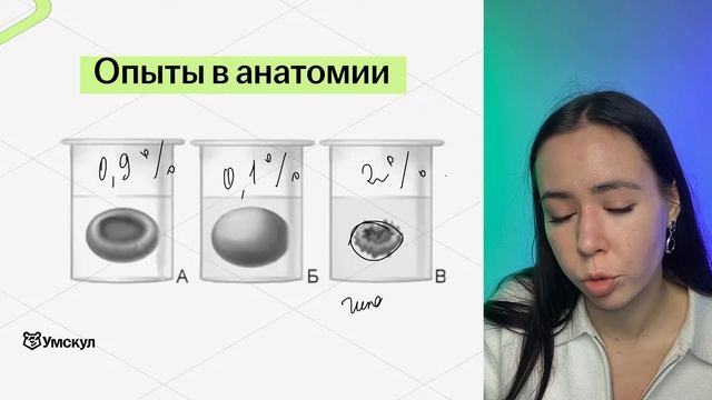 Как пройти Анатомию с нуля за месяц? ЕГЭ биология
