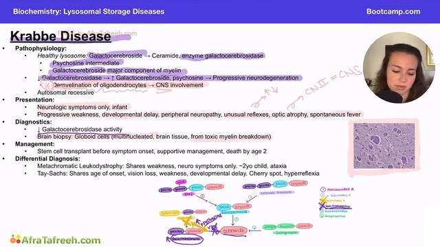 Krabbe Disease atf