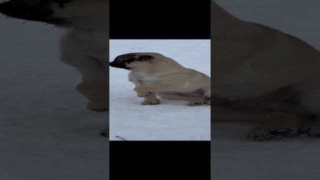 IMG_5645