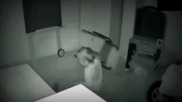 монстр на днюнхе и другая хрень снятая на камеру